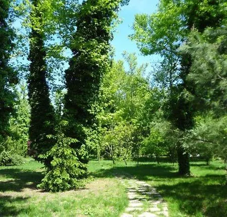 Hotel Yuezuencue Yil Ecopark