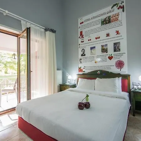 Hotel Yuezuencue Yil Ecopark Ankara