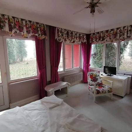 Yuezuencue Yil Ecopark Hotel *