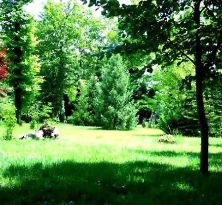 Yuezuencue Yil Ecopark Ankara