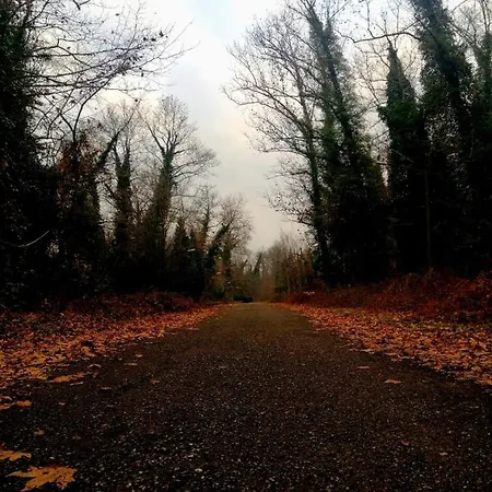Yuezuencue Yil Ecopark